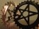 画像1: *Stranger Pentagram Sprocket 28T (1)
