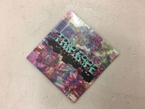 画像8: [~70%OFF] THE TRIP - Triptape Tee [With DVD] (8)