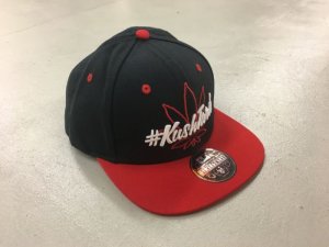 画像1: [SALE] IGI Kushtard Hat (Blue/Red) (1)