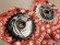 画像2: *Shadow Jesco Sprocket 25T (2)