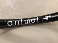 画像1: Animal Steam Roller Rim