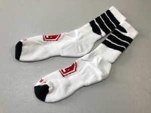 画像1: *Terrible One Snake Striped Socks (1)