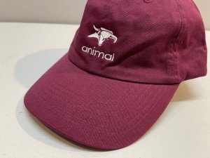 画像6: *Animal Icon Hat (6)