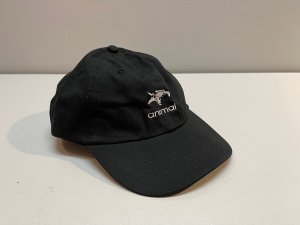 画像4: *Animal Icon Hat (4)