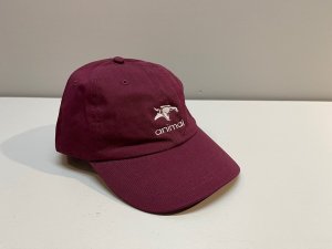 画像5: *Animal Icon Hat (5)