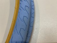画像1: *[29"] Rant Squad Tire 29x2.35" [Sky Blue/Tan 2本セット]