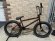 画像1: Fiend Type O+ Bike [20.5"TT] Trans Brown (1)