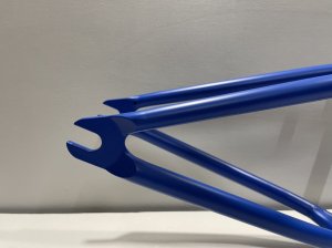 画像6: *Cult Dan Foley Frame (Blue) (6)