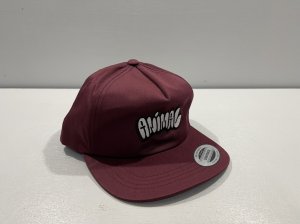 画像4: *Animal Fill In Hat (4)