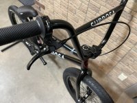 画像1: Subrosa Malum [21"TT] Black