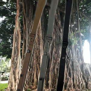 画像3: [20%OFF] 柳屋 Island Point Belt (3)