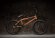 画像3: 2023 Kink Whip XL [21"TT] Matt Sedona Red (3)
