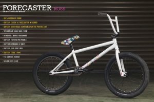 画像6: 2023 Sunday Forecaster [20.5"TT] Gloss White (6)