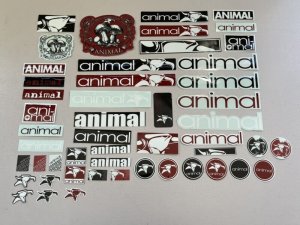 画像1: Animal New Sticker Pack (1)
