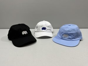 画像1: FTL Elephant Cap (1)