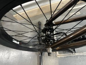 画像3: 2023 Kink Launch [20.25"TT] Gloss Baja Bronze (3)