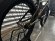 画像6: 2023 FIT Series One [20.25"TT] Smoke Chrome (6)