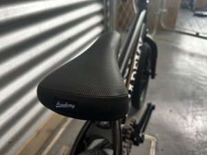 画像4: [KIDS] Academy Inspire [16"Wheel] Metal Black (4)