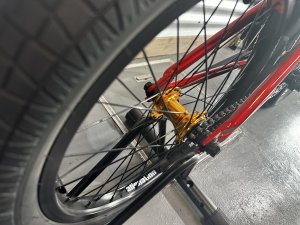 画像5: SE Gaudium [21"TT] Red Fox (5)