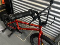 画像1: SE Gaudium [21"TT] Red Fox