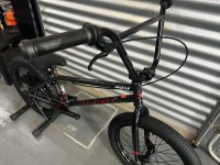 画像1: SE Gaudium [21"TT] Tectonic Black