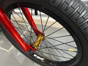 画像4: SE Gaudium [21"TT] Red Fox (4)