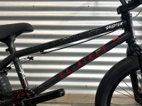 画像2: SE Gaudium [21"TT] Tectonic Black