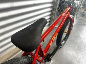 画像3: SE Gaudium [21"TT] Red Fox (3)