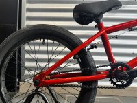 画像3: SE Gaudium [21"TT] Red Fox