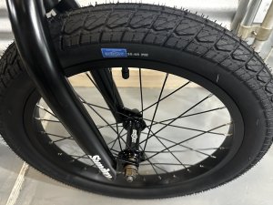 画像2: [KIDS] Sunday Primer 18 [18"Wheel] Metallic Gold (2)