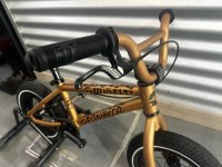 画像1: [KIDS] FIT Misfit 12 [12"Wheel] Cheetah