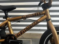 画像2: [KIDS] FIT Misfit 12 [12"Wheel] Cheetah