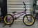 画像1: Cult Devotion Bike [21"TT] Panza Purple (1)