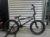 20インチ(TT21~)完成車 - BMX SHOP CAVE