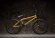 画像1: Kink Curb [20"TT] Matte Gold Leaf (1)