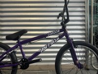 画像2: Hoffman Condor [21"TT] Purple/Black