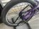 画像7: Hoffman Condor [21"TT] Purple/Black (7)