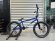 画像1: 2022 Sunday Blueprint [20.5"TT] Gloss Blue (1)