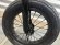 画像2: [KIDS] Motelworks Pal [12"Wheel] Gloss Grey (2)