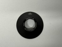 画像1: BSD Roastin' Non-Drive Side Hub Guard