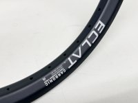 画像1: Eclat Carbonic Rim [２本組]