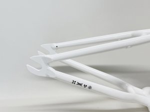 画像5: [KIDS] WeThePeople Prodigy 16 Frame [16"Wheel] White (5)