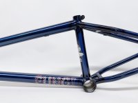 画像2: S&M Fungi Frame [20.75"TT] Trans Blue