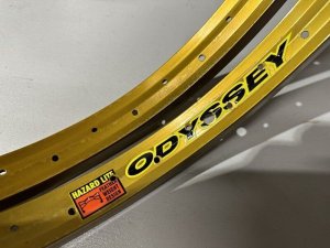 画像1: *[ダメージ品] Odyssey Hazard Lite Rim [Gold/2本セット] (1)