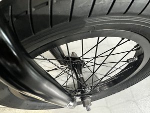 画像2: [KIDS] 2026 Kink Carve 16 [16"Wheel] Patina Green (2)