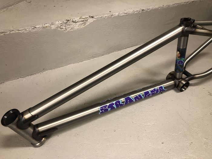 stranger zia frame