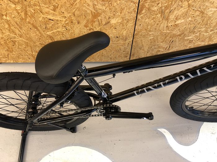 2020 kink liberty