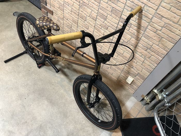 fit bike co brandon begin