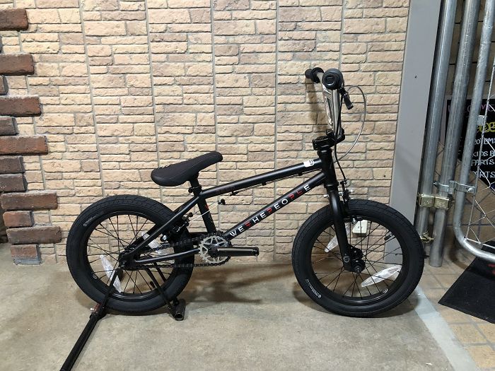 wethepeople 16