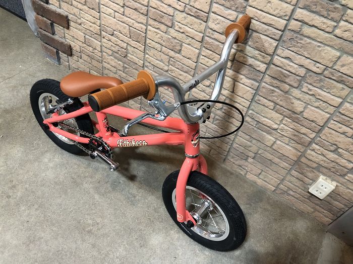 fit bmx 2019
